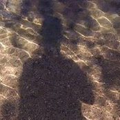 Foto von Jennifer Amy