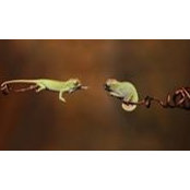 Titus Muchiri's photo