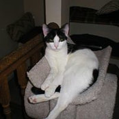 Michele Ojason's photo