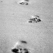 Barbara Trottier's photo