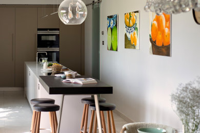Photo of a medium sized contemporary single-wall kitchen/diner in Other with flat-panel cabinets and an island.