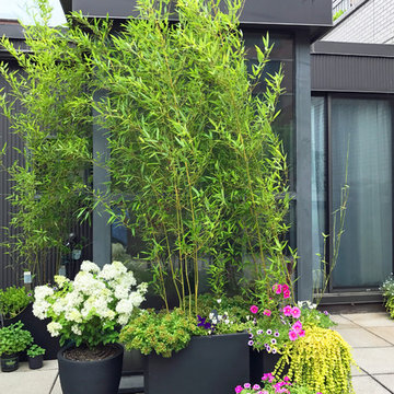 Upper East Side Contemporary Terrace Garden Design