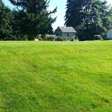 BEFORE PHOTO shows how lawn sweeps down to project