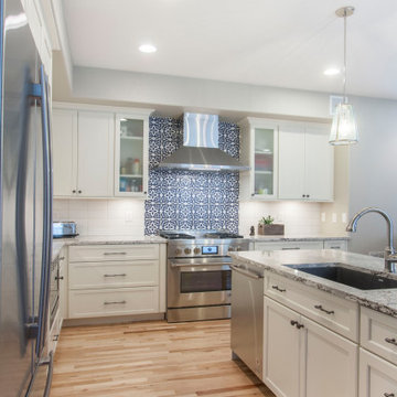 Blue and White Handpainted Tiles Statement Backsplash