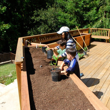 JD Garden, Hillsborough
