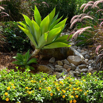 An Urban Oasis
