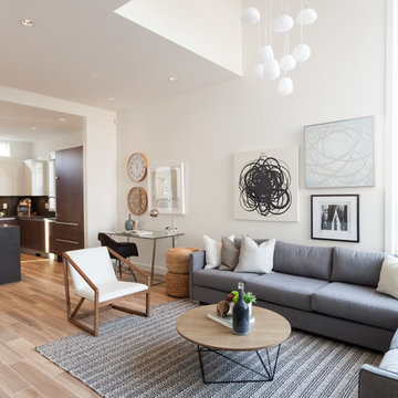Living Room - Contemporary