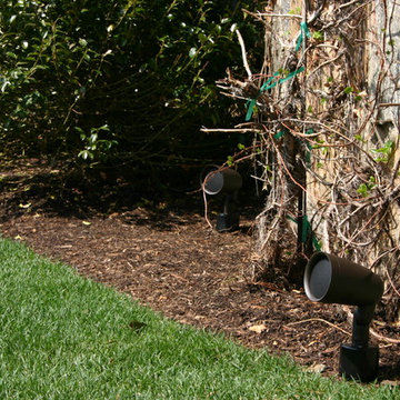 Outdoor Speakers