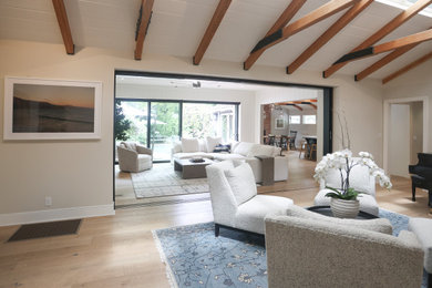 Living room - transitional living room idea in San Francisco