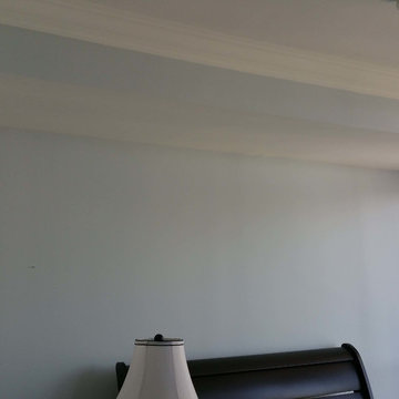 Condo Painters Pro 2015