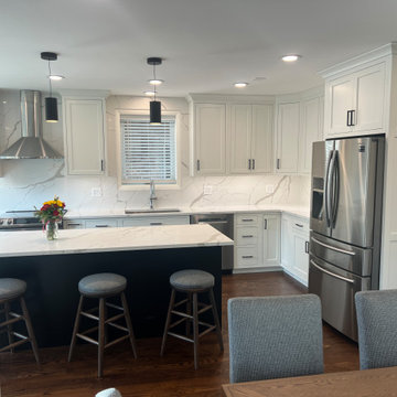 Chicago Kitchen/Dining Renovation