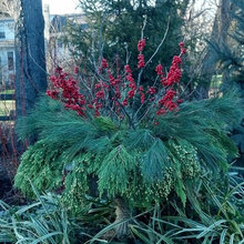 Winter Containers