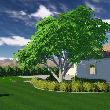 1 Acre in Gilbert & A Complete Landscape Transformation - Lush Outdoor Living
