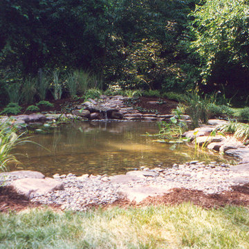 Water Features