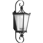 Progress - Progress P6629-31MD Cadence - 38 Inch 1 Light Outdoor Wall Lantern - Cadence 38 Inch 1 Li Black Clear Water Se *UL: Suitable for wet locations Energy Star Qualified: n/a ADA Certified: n/a  *Number of Lights: Lamp: 1-*Wattage:100w A19 Medium Base bulb(s) *Bulb Included:No *Bulb Type:A19 Medium Base *Finish Type:Black