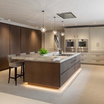 Kitchen design, complete kitchen renovation, kitchen fitting.