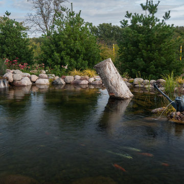 Back Yard Oasis