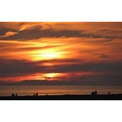 Kati Mill's photo