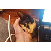 Sheryl Menke's photo