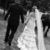 Beth Halbach's photo
