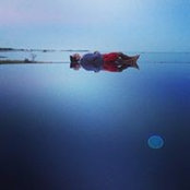 Jake Passero's photo