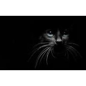 Michelle Burnett's photo