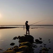 Camille Ruest's photo