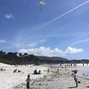 Foto von Laura Petrulakis