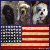 Michelle Kerr's photo