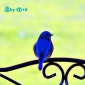 Angelique Atkinson's photo