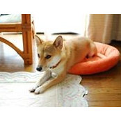 Fumi Okoshi's photo