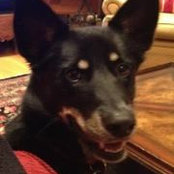 Patrick Bushnell's photo