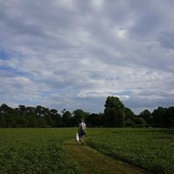 James Clippard's photo