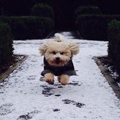 Daithi Parker's photo