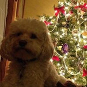 Lori Pac's photo