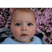 Sue Murphy's photo