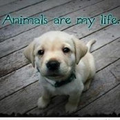 Geraldine Sharmila's photo