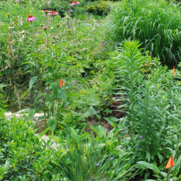 Side Yard Garden Design & Build