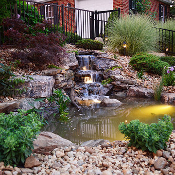 Ecosystem pond