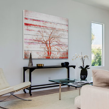 Orange Tree