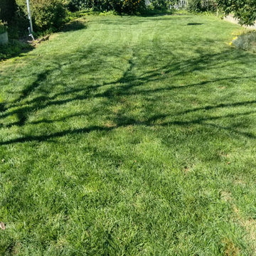 Front & Backyard Lawn Maintenance