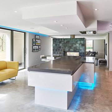 Ultra Contemporary Kitchen