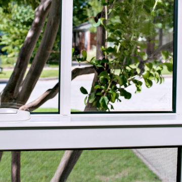 Andersen Black 100 Series Windows - Fort Worth