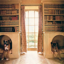 Dogs