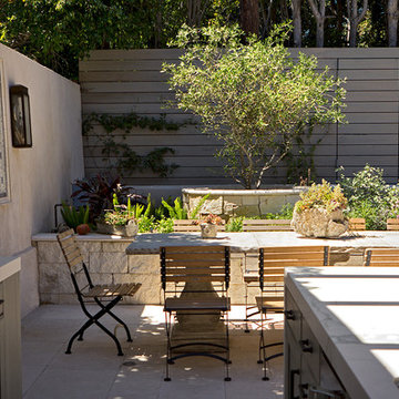 Olive tree behind dining area