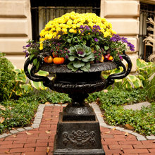Love this fall planting!