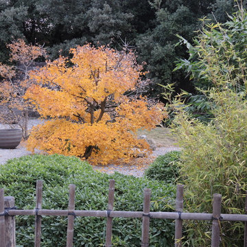 Jardin zen et paliers