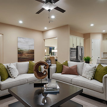 Delaney model home in Arizona