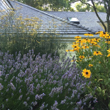 Osterville Gardens