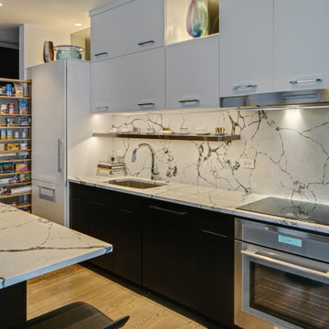 Modern Condo Remodel